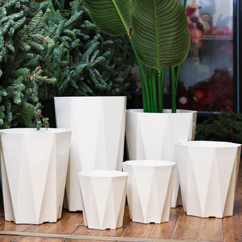 Potted plant molding