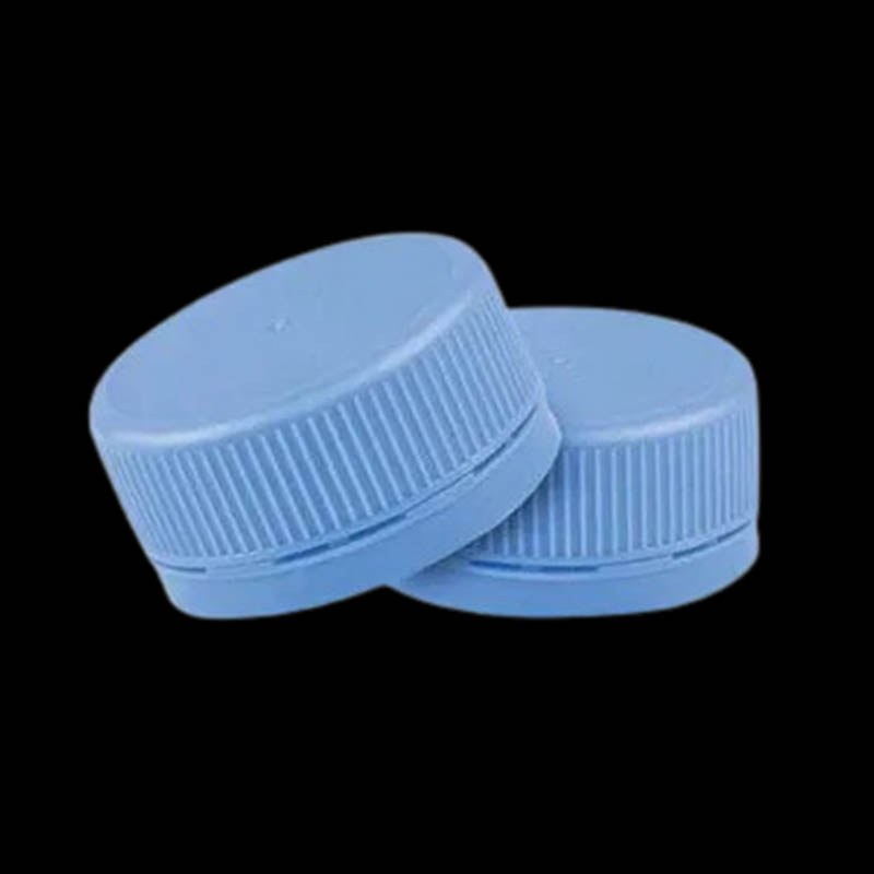 Plastikkapitalformular
